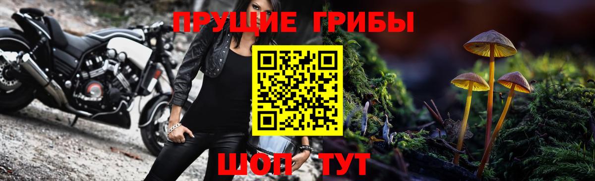 Галлюциногенные грибы Cubensis Переславль-Залесский